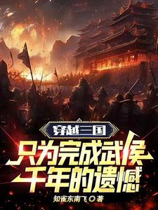 武侯北伐说明书