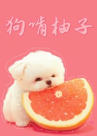 小狗狗能吃柚子